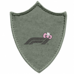 Шевроны заостренный щит