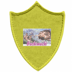 Шевроны заостренный щит