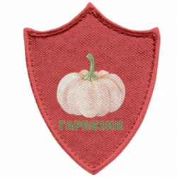 Шеврони загострений щит