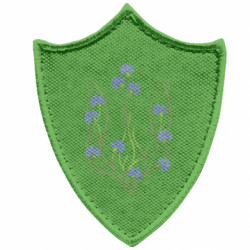 Шевроны заостренный щит