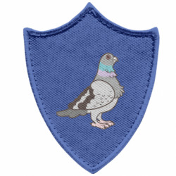 Шеврони загострений щит