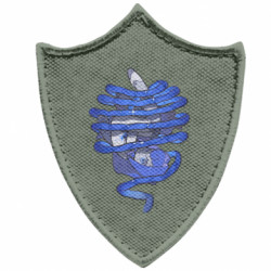 Шеврони загострений щит