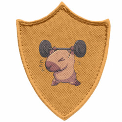 Шевроны заостренный щит