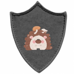 Шевроны заостренный щит