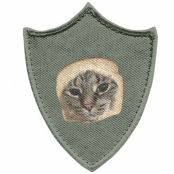 Шевроны заостренный щит