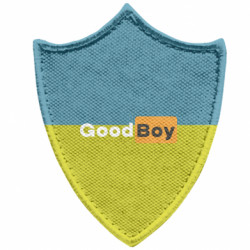 Шеврони загострений щит