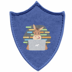 Шевроны заостренный щит