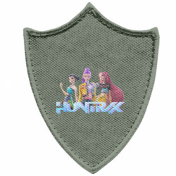 Шеврони загострений щит