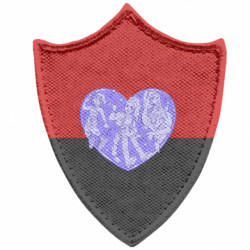 Шеврони загострений щит