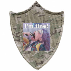 Шеврони загострений щит