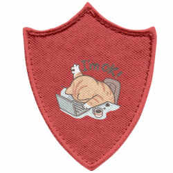 Шевроны заостренный щит