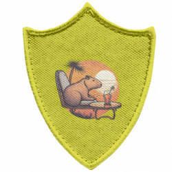 Шеврони загострений щит
