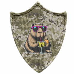Шевроны заостренный щит