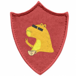 Шеврони загострений щит