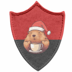 Шеврони загострений щит