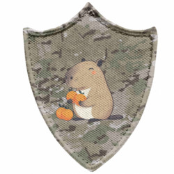 Шевроны заостренный щит