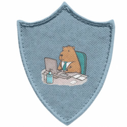 Шеврони загострений щит