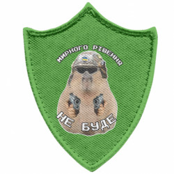 Шевроны заостренный щит