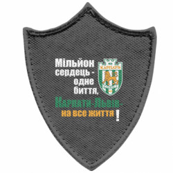 Шевроны заостренный щит