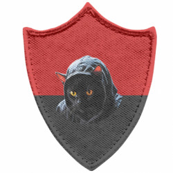 Шеврони загострений щит