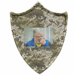 Шевроны заостренный щит