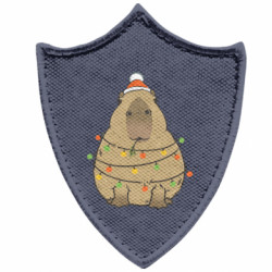 Шевроны заостренный щит