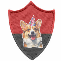 Шевроны заостренный щит