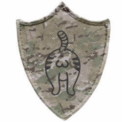 Шевроны заостренный щит