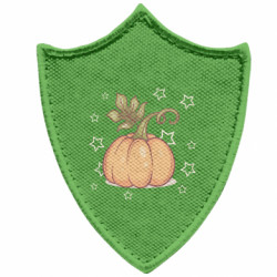 Шевроны заостренный щит