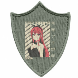 Шевроны заостренный щит