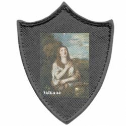 Шевроны заостренный щит