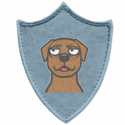 Шевроны заостренный щит