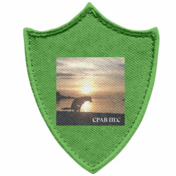 Шеврони загострений щит