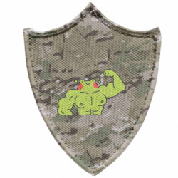 Шеврони загострений щит