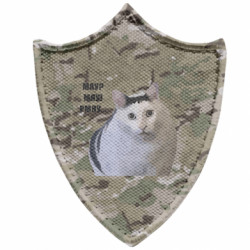 Шеврони загострений щит