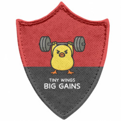 Шевроны заостренный щит