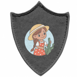 Шевроны заостренный щит