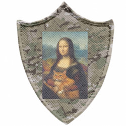 Шевроны заостренный щит