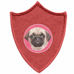 Шевроны заостренный щит