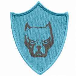 Шеврони загострений щит