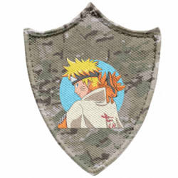 Шеврони загострений щит