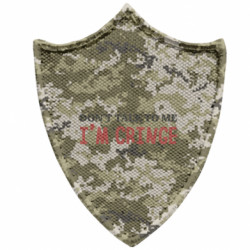 Шеврони загострений щит
