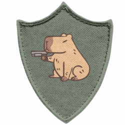 Шевроны заостренный щит