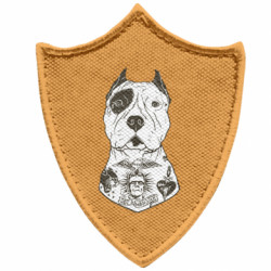 Шеврони загострений щит