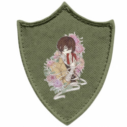 Шевроны заостренный щит