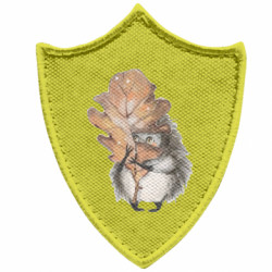 Шевроны заостренный щит