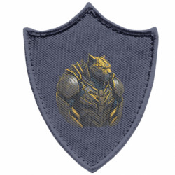 Шевроны заостренный щит