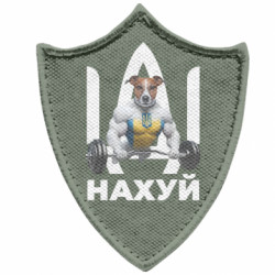 Шеврони загострений щит