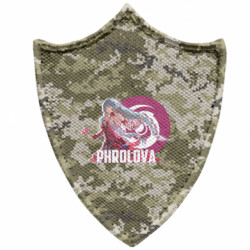 Шевроны заостренный щит