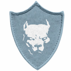 Шевроны заостренный щит